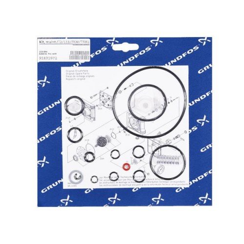 KIT, maint.Cl2/111/FKM/TFM1700/full vac., 91835972 для Grundfos DOSING
