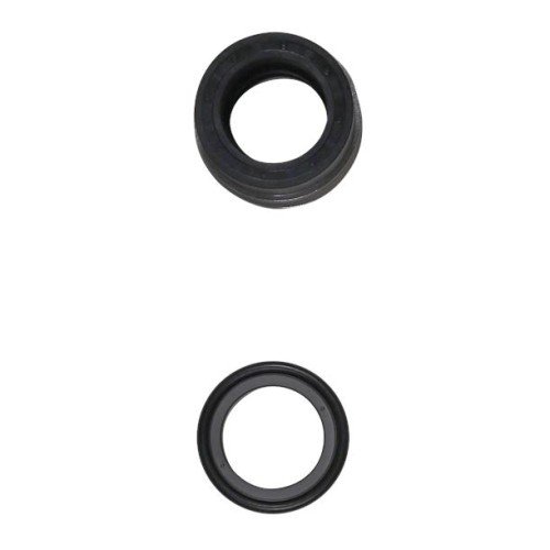 KIT, Shaft Seal BAQE D55 mm, 96306475 для Grundfos NB/NK