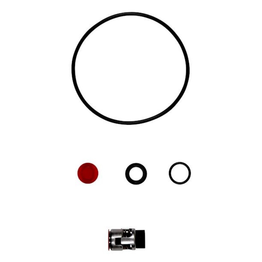 Kit TP(D), shaft seal 12mm BUBE 96409263