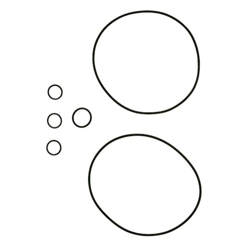 KIT, gasket FKM CR/I/N 1s/1/3/5 96455091