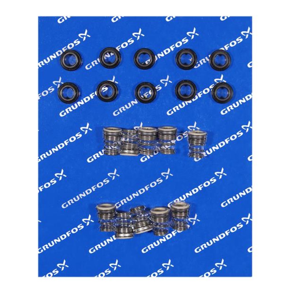 Bulk - SHAFT SEAL C XBPFG CRS (10 pcs) 96536505