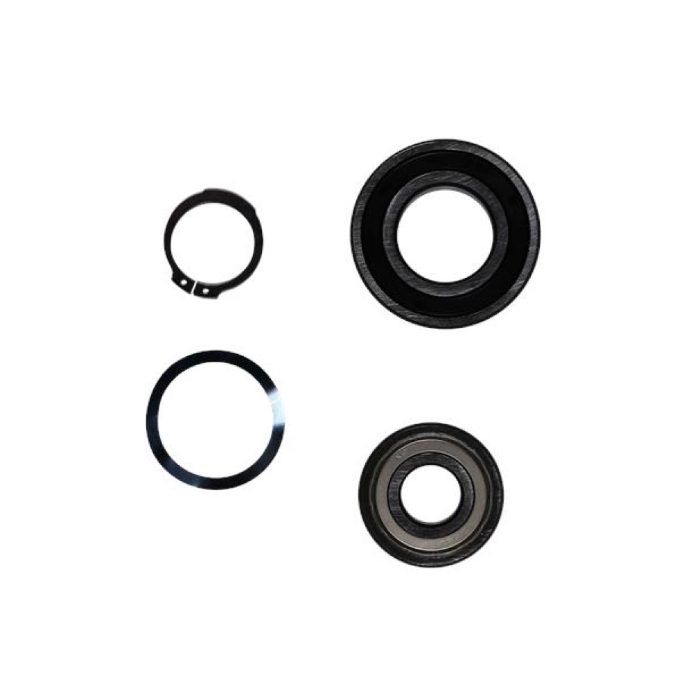 KIT, bearing, SL1/SLV Fr.C 6305+3208B 96904928
