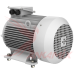 Электродвигатель Gamak AGM3EL 180 M 4a / 18.5 кВт для C.M. MB 1500 (1.0 м³/цикл)